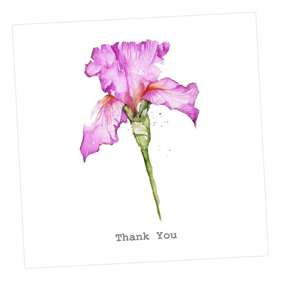 Thank You Iris