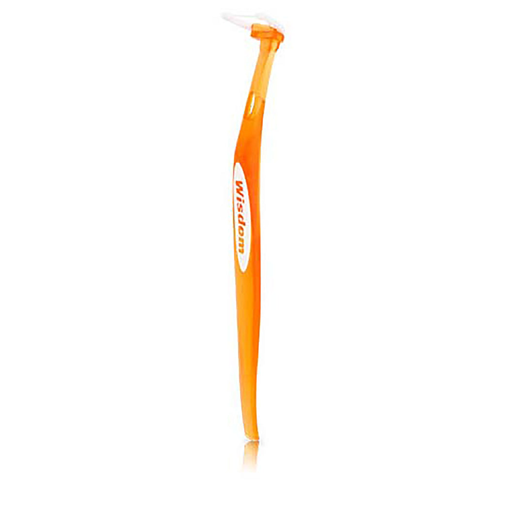 Wisdom Easy Daily Flosser pk 25